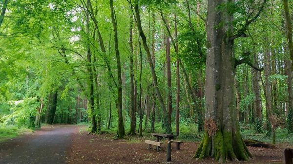Belleek-Woods-Ballina-Manor