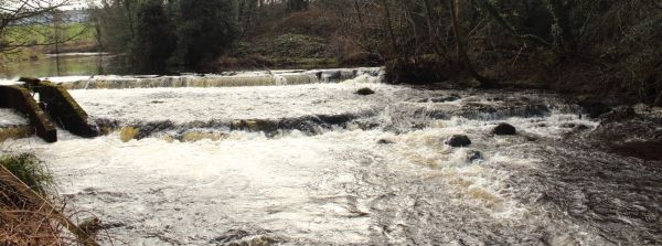 Falls 1