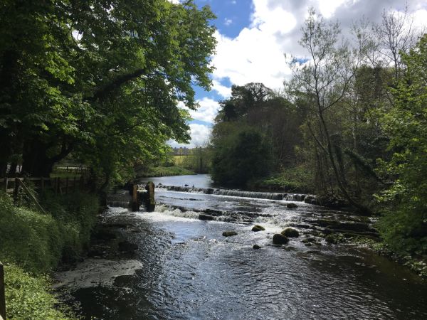 Falls 4