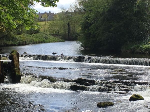Falls Close up