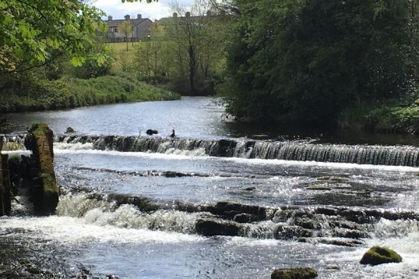 Falls Close up - gallery 1