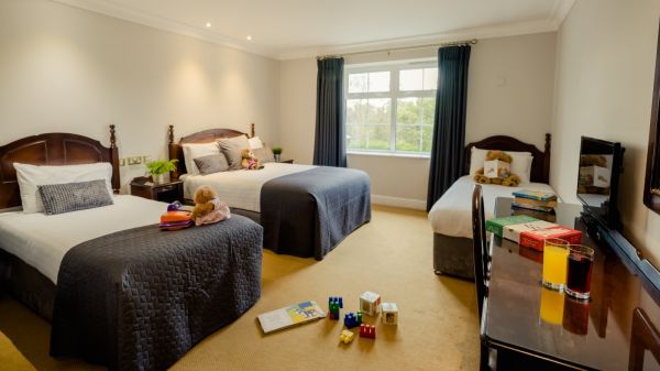 Family Room - gallery