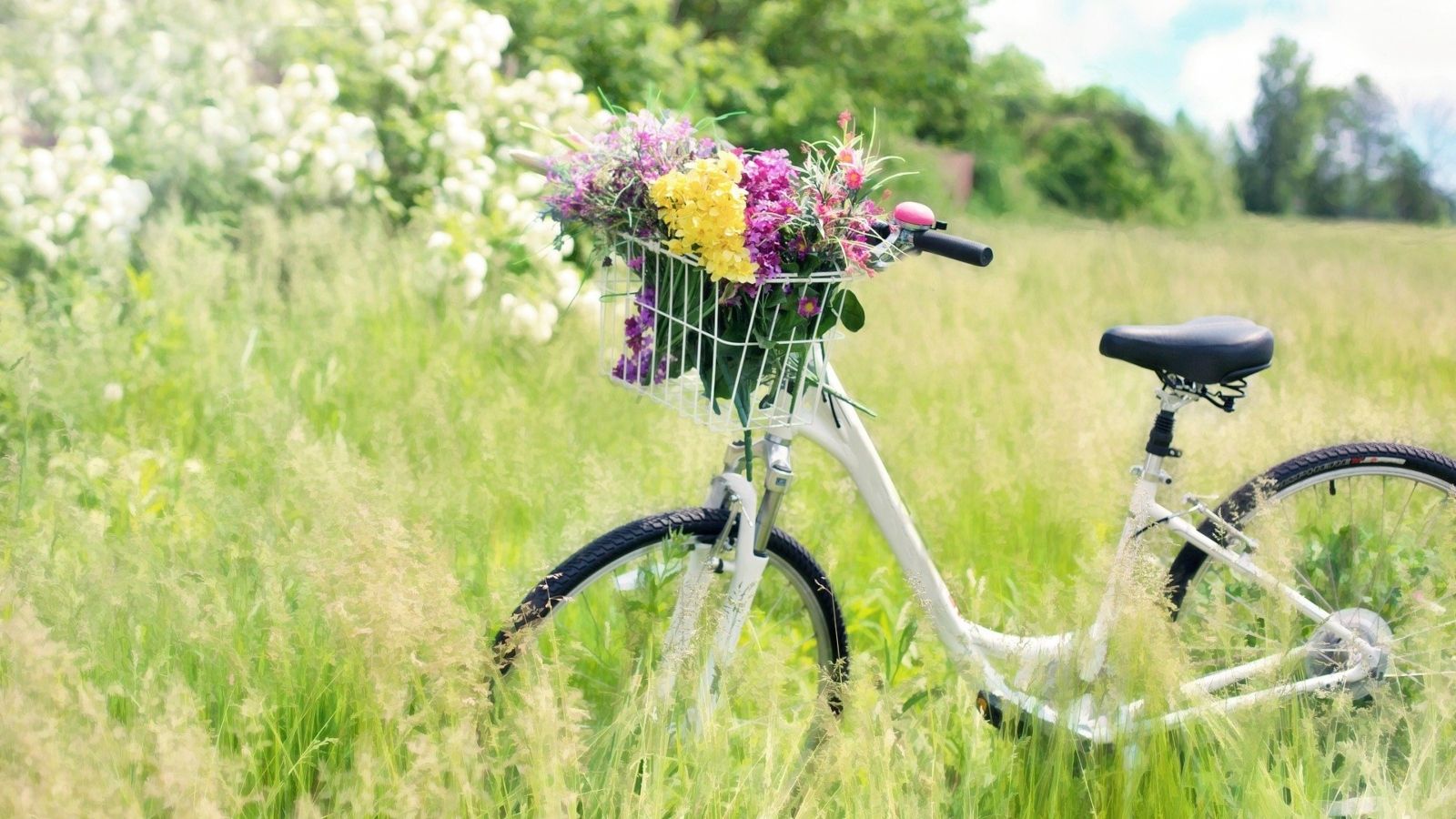 Easter Bike 1600 900