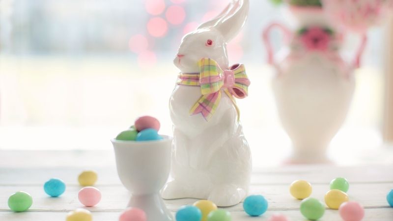 easter bunny 800 450