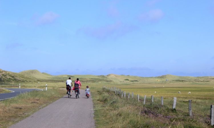 Cycling family 800_450