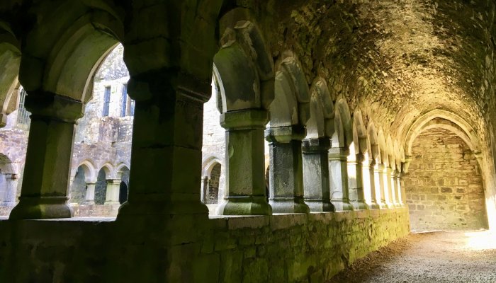 Moyne abbey cloisters TWINTREECMS01